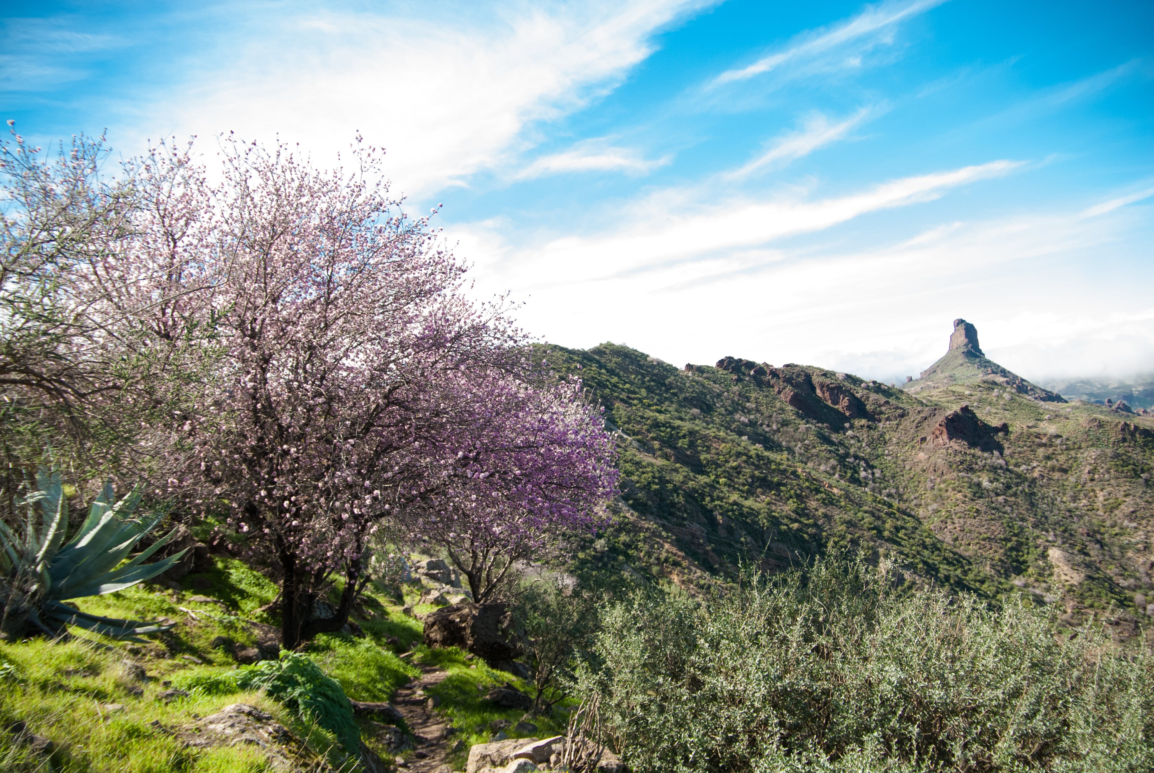 Roque Nublo