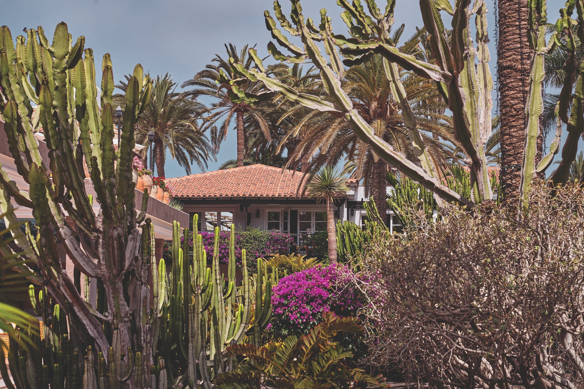 GHR Garden