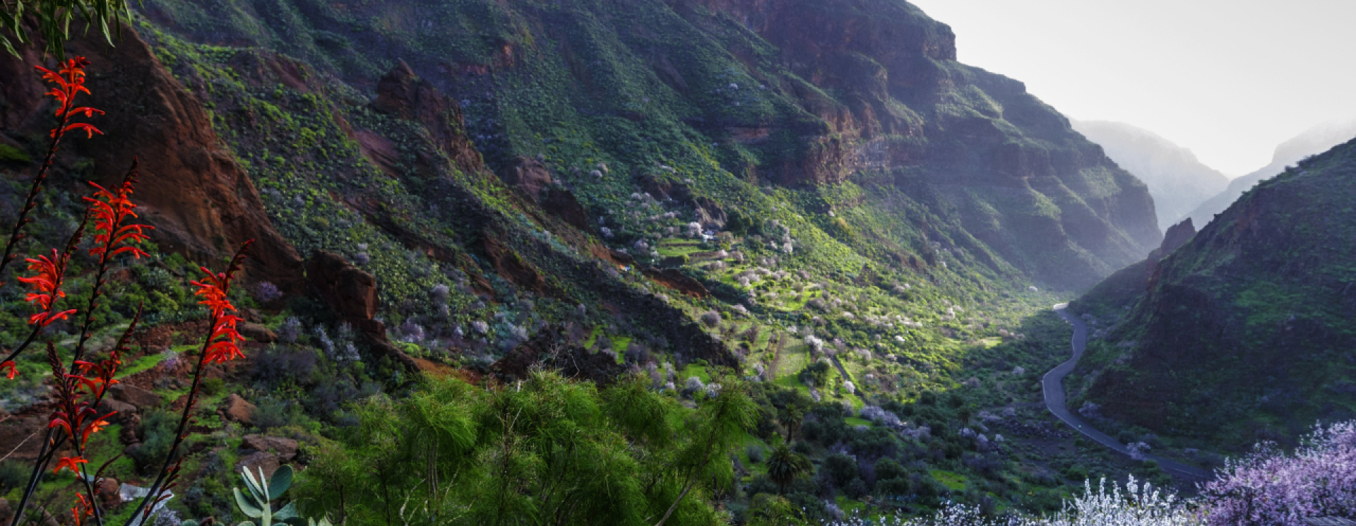 Barranco de Guayadeque GC