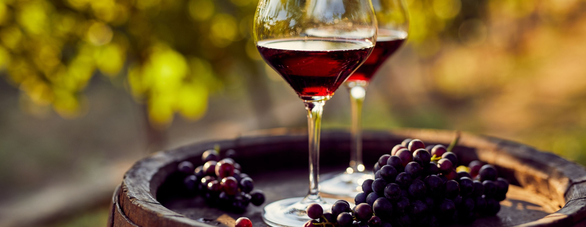 Wine regions